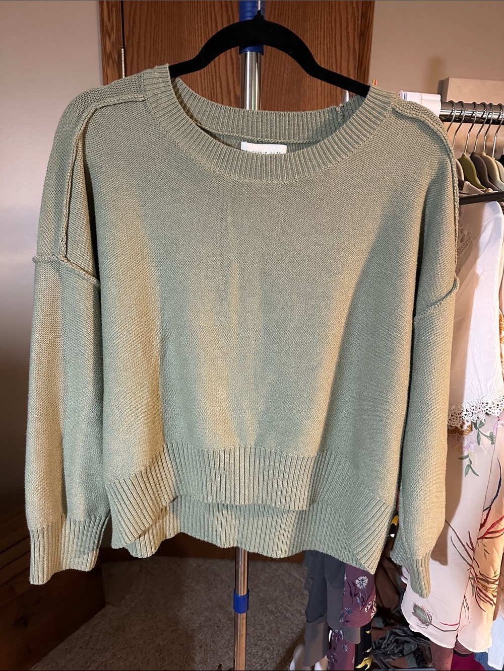 Sincerely Jules Crewneck Sweater in Sage